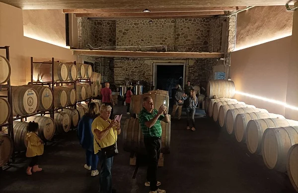 Bodega Vella | Bodega familiar tradicional