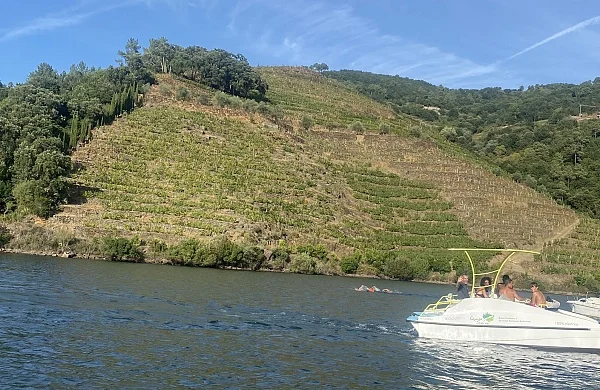 Alquiler de barco en Ribeira Sacra | Experiencia sin titulación Alquiler de barco en Ribeira Sacra | Experiencia sin titulación