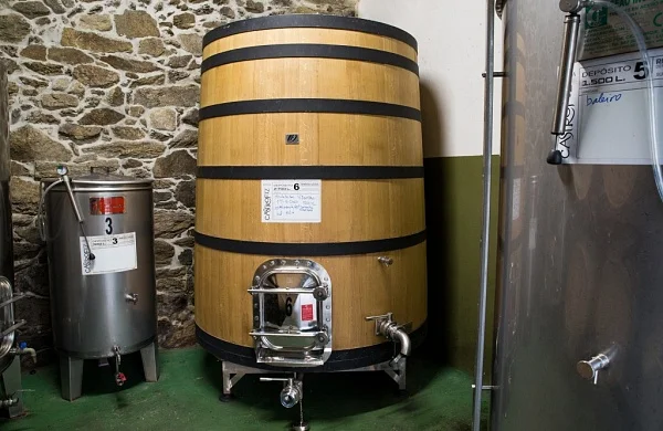 Castrofiz | Viñedos junto al Miño