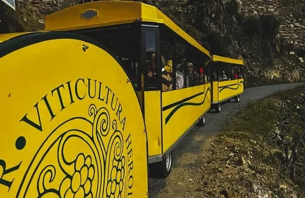 Sumérgete en los Cañones del Sil | Paseo entre viñedos