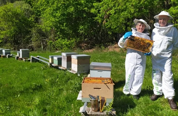 Apiturismo en Ribeira Sacra | Experiencia con abejas