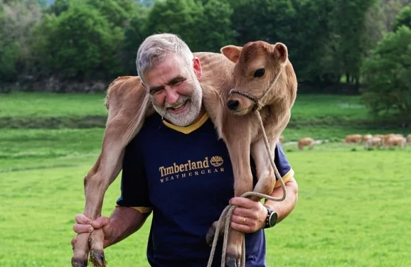 Ribeira Sacra | Vinos y quesos de autor