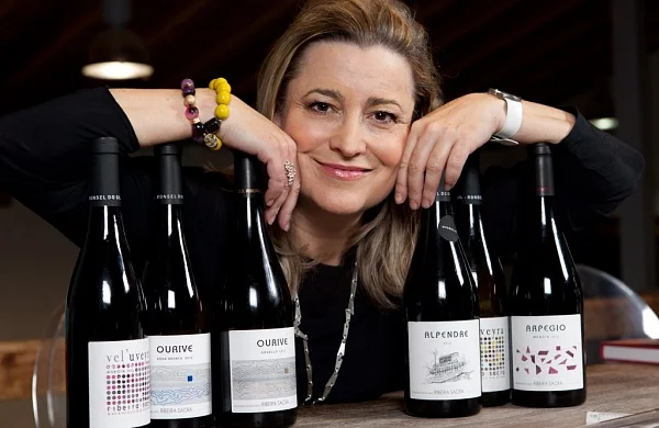 Ronsel do Sil | Viñedos en laderas del Sil