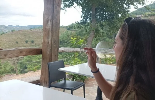 Finca Millara | Bodega entre viñedos del Miño