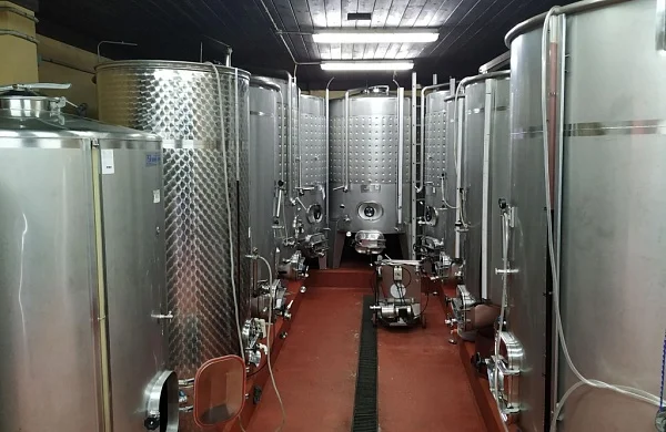 Melillas | Bodega tradicional en cueva