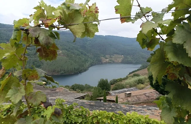 Finca Millara | Bodega entre viñedos del Miño