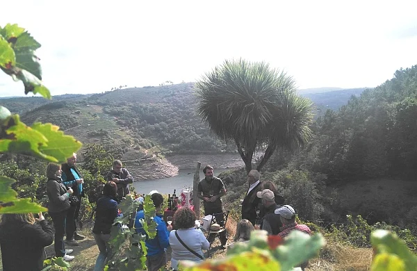 Ribeira Sacra | Vinos y quesos de autor