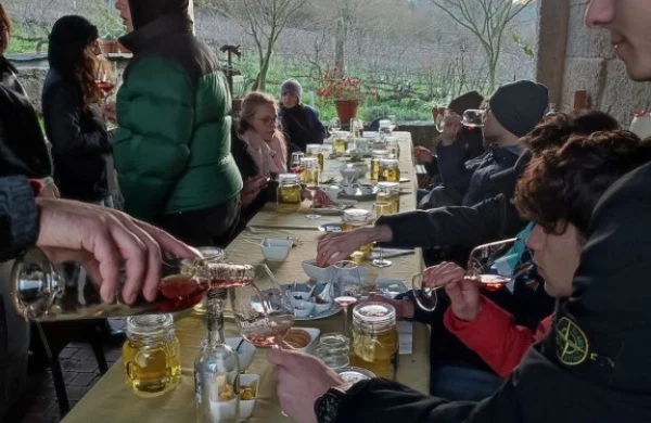 Entre vermut y vinos del Ribeiro | Experiencia artesanal