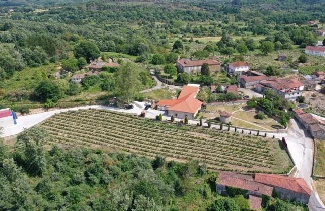 Moreiras | Bodega histórica familiar