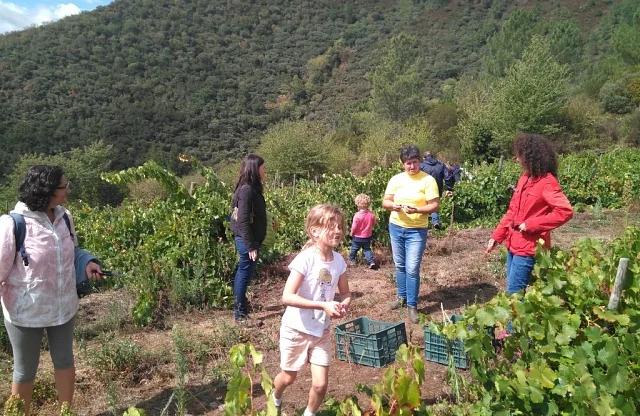 Enoturismo en familia en Ribeiro | Experiencia con niños