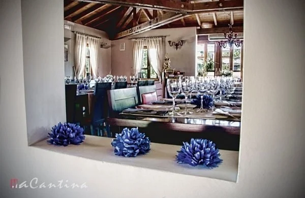 Viticultura heroica en Ribeira Sacra | Paisajes y socalcos milenarios