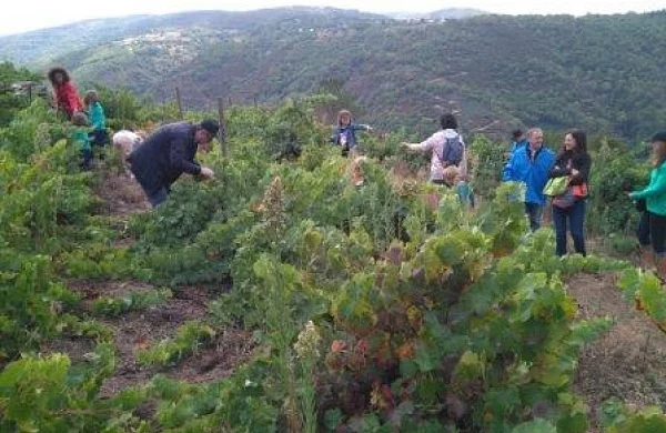 Val do Frade | Vinos de viñedos propios