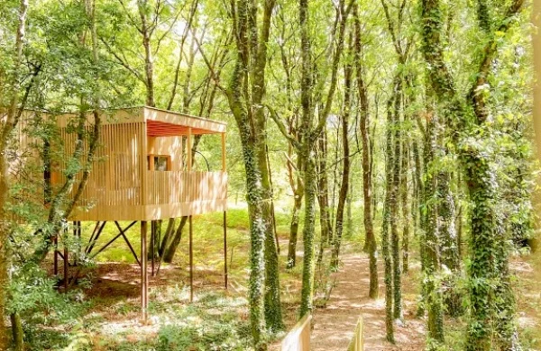 Enoturismo María Manuela | Cabañas entre viñedos