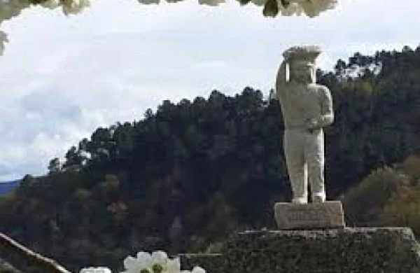 Amedo | Tradición vitivinícola familiar