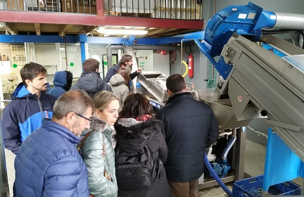 Oleoturismo en Ribeira Sacra | Aceite y tradición