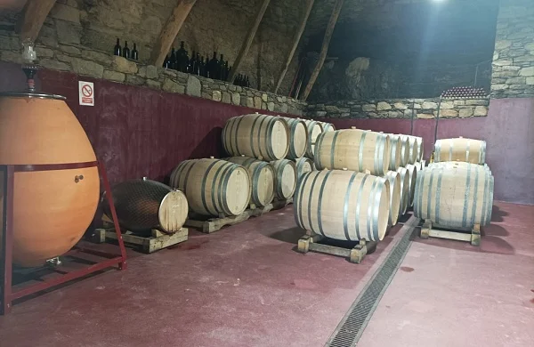Finca Millara | Bodega entre viñedos del Miño