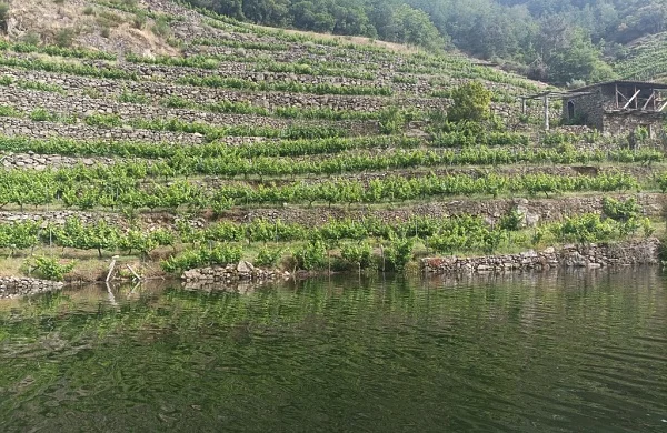 Alquiler de barco en Ribeira Sacra | Experiencia sin titulación