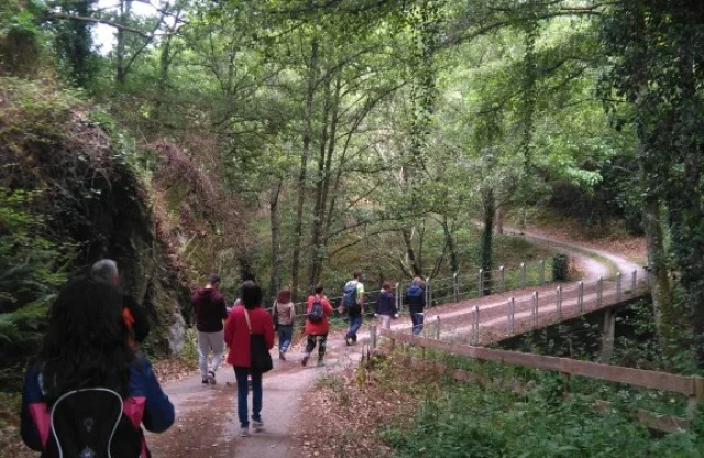 Senderismo en Ribeira Sacra | Rutas por la naturaleza