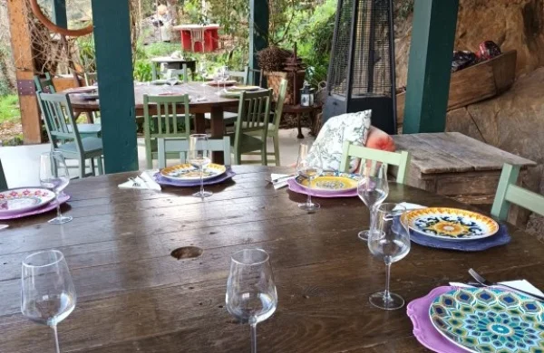 Fiordos gallegos | Paseo en barco por la Ribeira Sacra