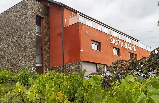 Santa Marta | Vinos de elaboración propia