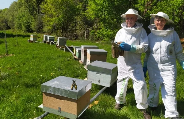 Apiturismo en Ribeira Sacra | Experiencia con abejas