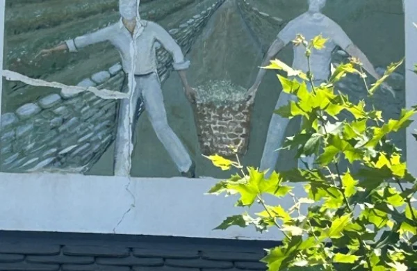 Pensión As Viñas | Pensión céntrica