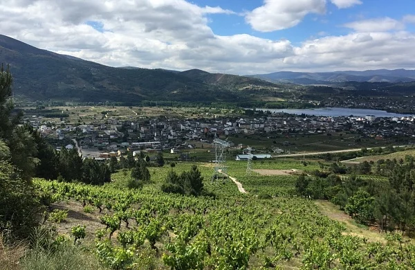 Melillas | Bodega tradicional en cueva