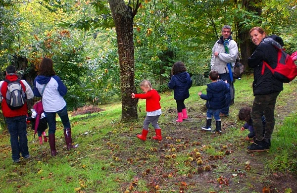 Enoturismo con niños en Ribeira Sacra | Experiencia familiar