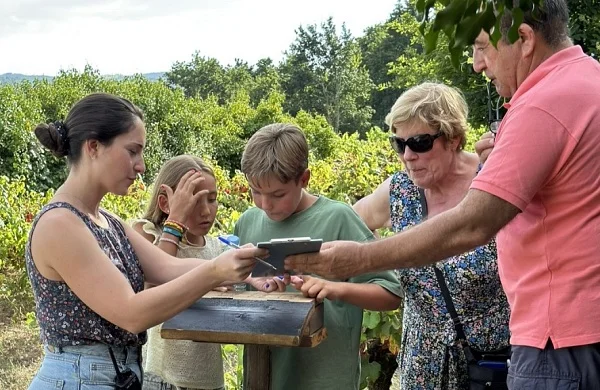 Escape room entre viñedos | Experiencia al aire libre