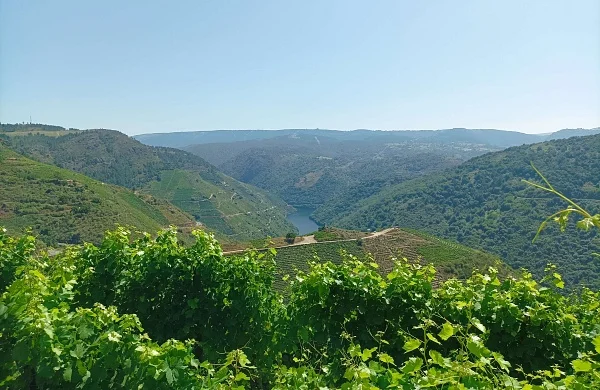 Ribeira Sacra