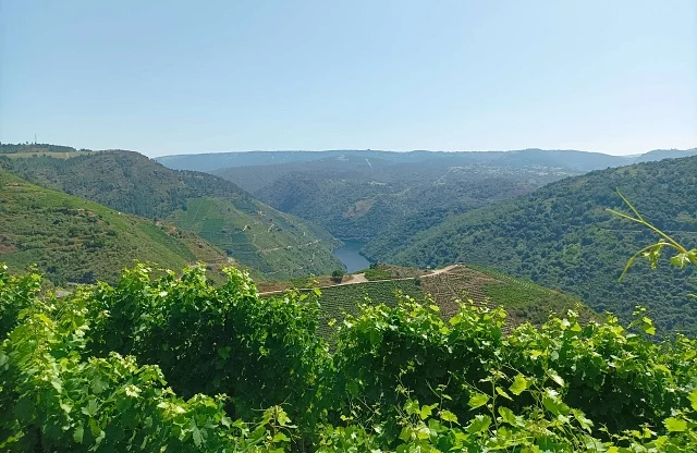 Ribeira Sacra