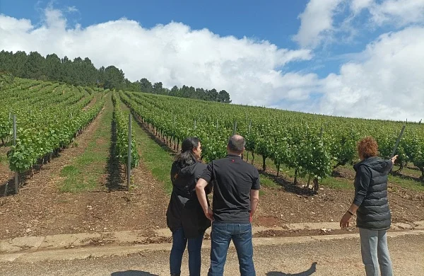 D'Berna | Tradición familiar vitivinícola