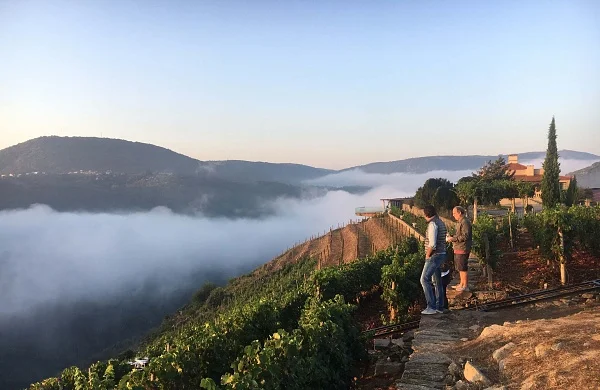 Vértigo | Cocina con vistas a los Cañones del Sil