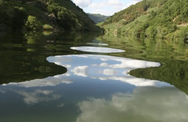 Alquiler de barco en Ribeira Sacra | Experiencia sin titulación