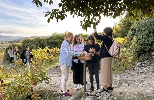 Escape room entre viñedos | Experiencia al aire libre