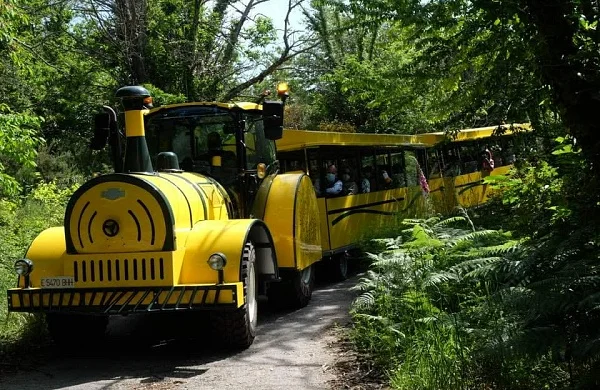 TREN ENOTURISTICO POR LA RIBEIRA SACRA