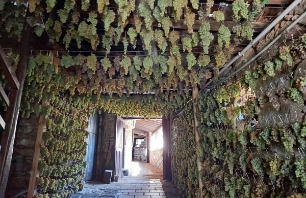 Bodega Vella | Bodega familiar tradicional