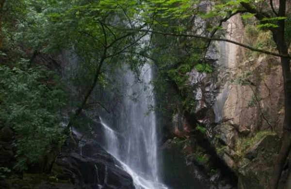 Ruta enológica por Ribeira Sacra | Bodegas y vino