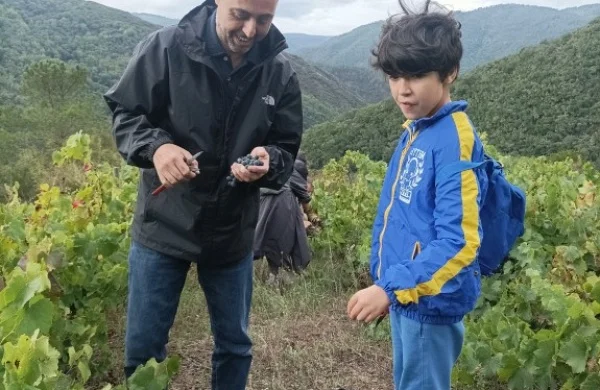 Enoturismo en familia en Ribeiro | Experiencia con niños