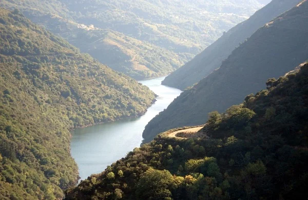 Val da Lenda | Vinos de Amandi