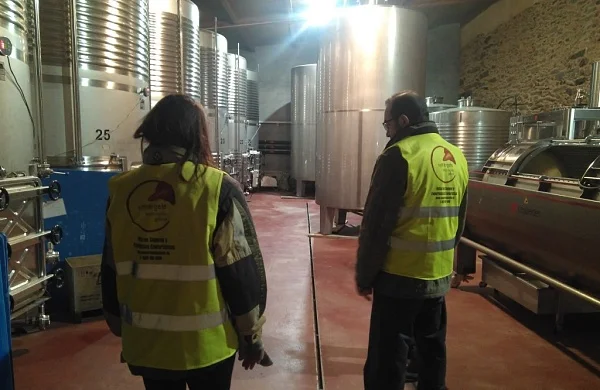 Cruceiro | Bodega familiar histórica