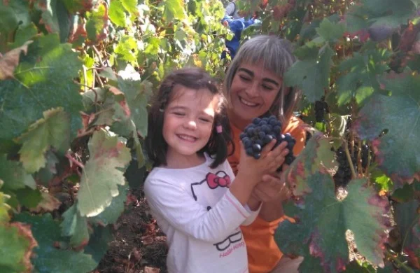 Enoturismo con niños en Ribeira Sacra | Experiencia familiar