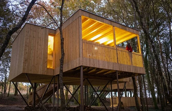 Enoturismo María Manuela | Cabañas entre viñedos