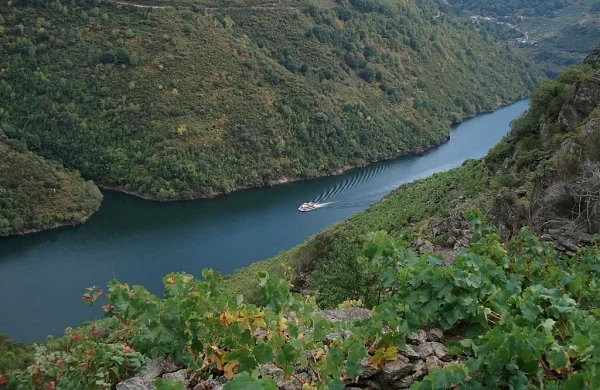 Val da Lenda | Vinos de Amandi