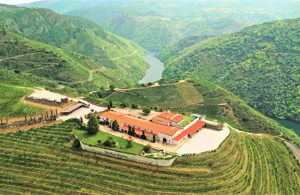 Regina Viarum | Vinos de Amandi con vistas al Sil