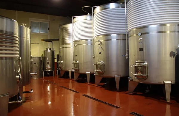 Santa Marta | Vinos de elaboración propia