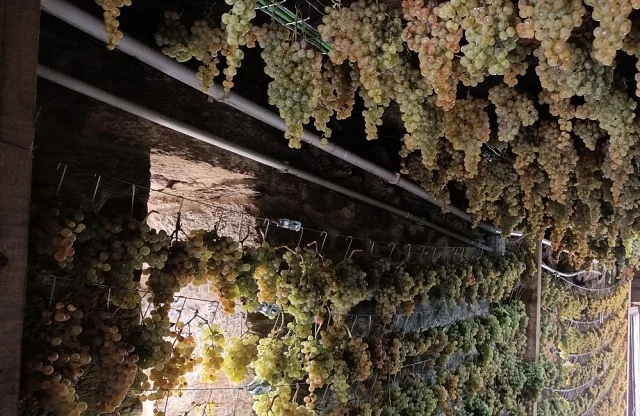 Visita milenaria en el Ribeiro | Historia y vino