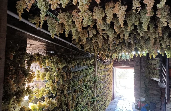 Visita milenaria en el Ribeiro | Historia y vino