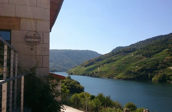 Ronsel do Sil | Viñedos en laderas del Sil