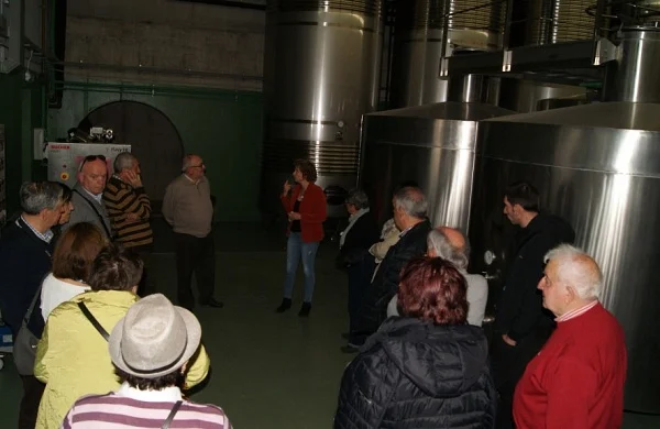 Entre covas de Valdeorras | Vino en espacios tradicionales